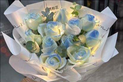 ��ݸ��ƽ����