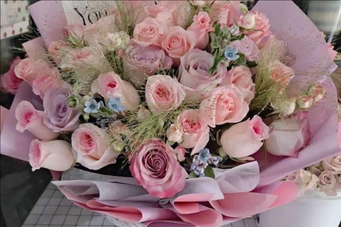 ��ݸ��ƽ����