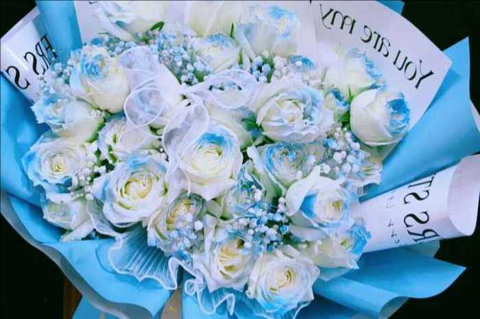 ��ݸ��ƽ����