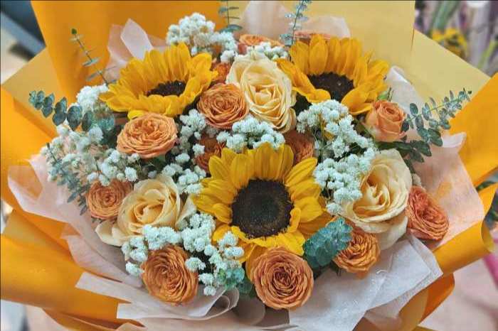 ��ݸ��ƽ����