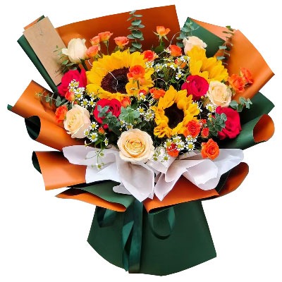 ��ݸ��ƽ����